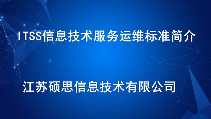 小标题：企业IT外包的必要性
