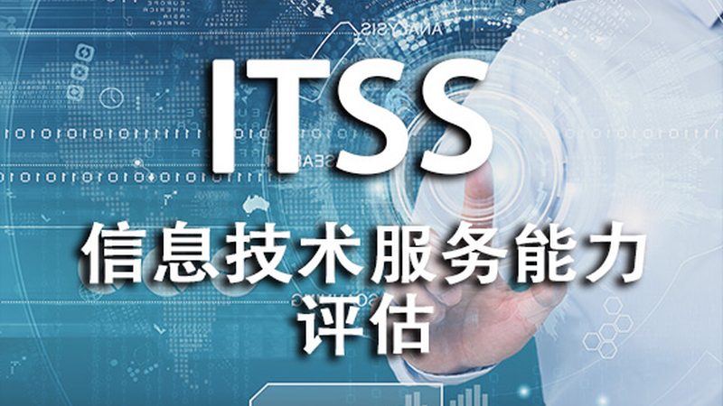 软件采购授权方式的揭秘：选择之道